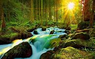 Image result for 3D Nature Wallpaper Phone