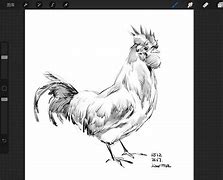 Image result for iPad Pro Sketch