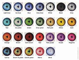 Image result for Rare Eye Color Chart