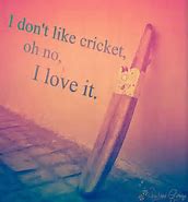 Image result for Cricket Quotes One Line