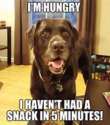 Image result for I'm Always Hungry Meme