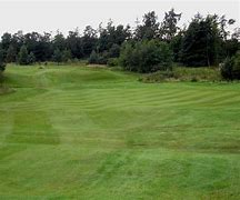 Image result for Golf Grass Texture