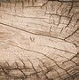 Image result for Old Wood Texture