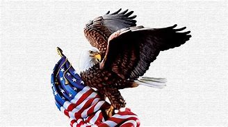 Image result for Defend America Wallpaper