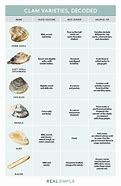 Image result for Clam Shell Types
