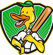 Image result for Cricket Cartoon Duck