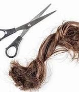 Image result for Hairdresser Scissors
