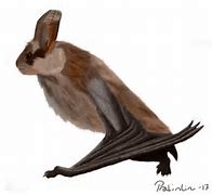 Image result for Bat Human Hybrid