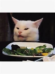 Image result for Smudge Cat HVAC Memes