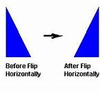 Image result for Flip On a Horizontal Line