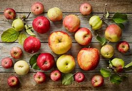Image result for Pictures of Different Kinds of Apple's