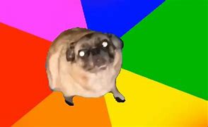 Image result for Dancing Pug Meme