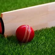 Image result for Cricket Ground Grass