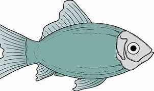 Image result for Clip Art Fishing Lure and Bobber