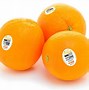 Image result for Valencia Orange From Meow or Never Cat