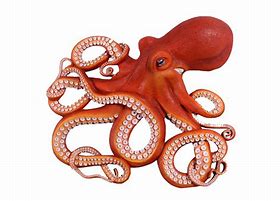 Image result for Dark Octopus Art