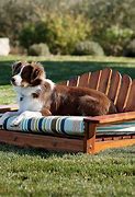 Image result for Outdoor Dog Furniture