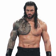 Image result for Roman Reigns Fans