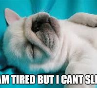 Image result for Sleepy Puppy Meme