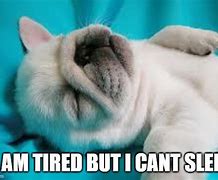 Image result for Sleepy Puppy Meme