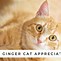 Image result for Ginger Cat Appreciation Day Meme