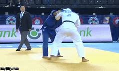 Image result for Judo Drawing