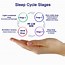 Image result for REM Sleep Cycle Stages