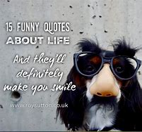 Image result for Witty and Funny Qoutes