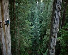 Image result for weather Redwood City