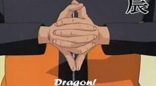Image result for Naruto Ninja Hand Signs