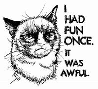 Image result for Grumpy Cat Nurse Meme