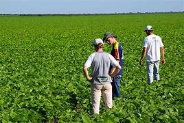 Image result for agronok�a