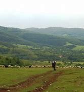 Image result for Zapadna Srbija Planine