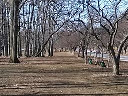 Image result for Pelham Parkway