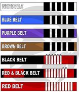 Image result for Sambo Belt System