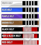 Image result for Jiu Jitsu Belt Order