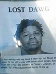 Image result for I Just Lost My Dawg Memes