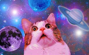 Image result for Funny Galaxy