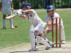 Image result for Cricket Activities for Kids