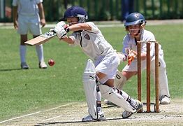 Image result for Kids Cheering for Cricket