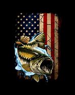 Image result for American Flag Bass Fish