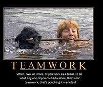 Image result for Funny Quotes Working Together