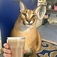 Image result for Big Floppa Cat Meme