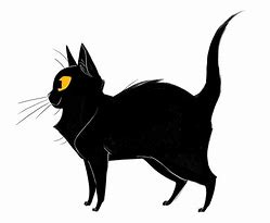 Image result for Black Cat Drawing Anime