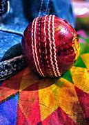 Image result for Kokabura Cricket Bag