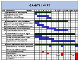 Image result for Mango Gantt Chart