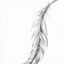 Image result for Feather Design Drawing