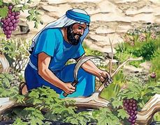 Image result for Jesus Is the Vine Illustration