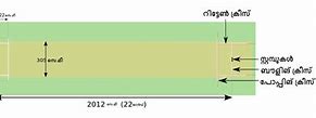 Image result for Cricket Court Size