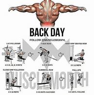 Image result for Big Back Attract